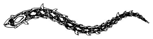 Иллюстрация к книге — Планиверсум. Виртуальный контакт с двухмерным миром [img_084.jpg]