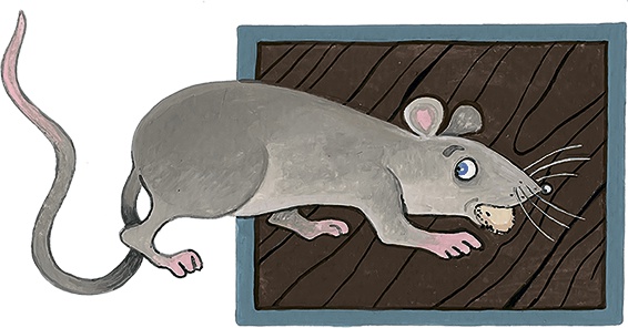 Иллюстрация к книге — Маленькая принцесса. Приключения Сары Кру [i_033.jpg]