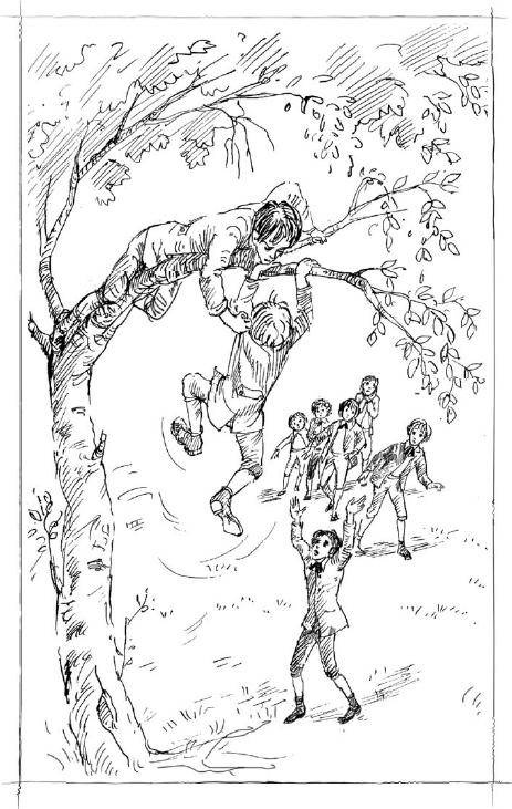 Иллюстрация к книге — Маленькие мужчины [i_009.jpg]