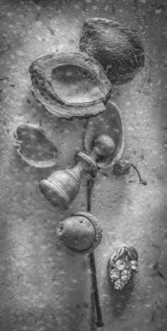 Иллюстрация к книге — Проза Дождя [i_004.jpg]