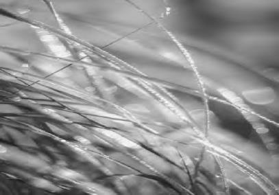 Иллюстрация к книге — Проза Дождя [i_005.jpg]