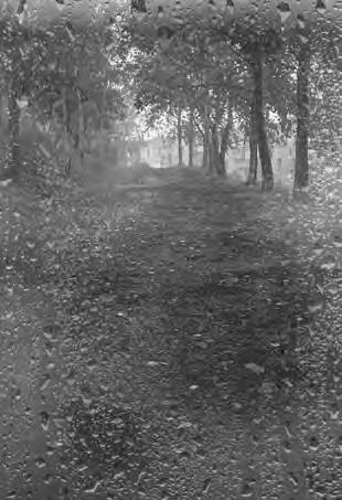 Иллюстрация к книге — Проза Дождя [i_012.jpg]