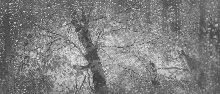 Иллюстрация к книге — Проза Дождя [i_016.jpg]