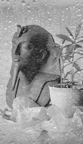 Иллюстрация к книге — Проза Дождя [i_017.jpg]