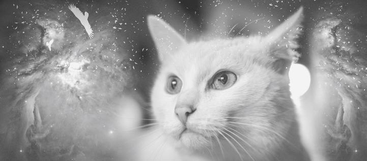 Иллюстрация к книге — Проза Дождя [i_034.jpg]