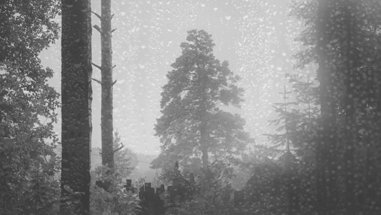 Иллюстрация к книге — Проза Дождя [i_036.jpg]