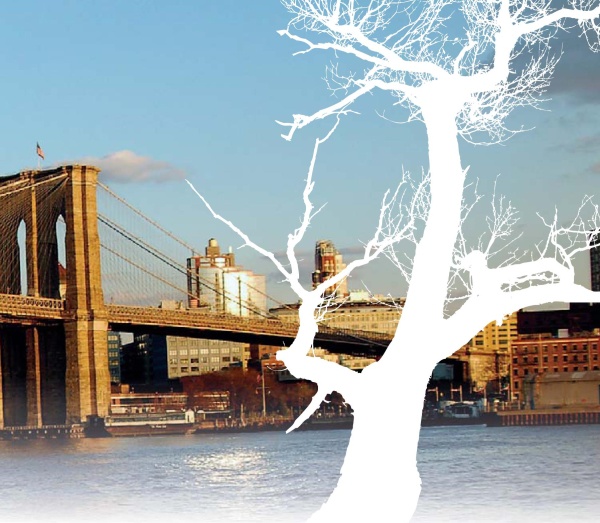 Иллюстрация к книге — Нью-Йоркский марафон. Записки не по уму [i_008.jpg]