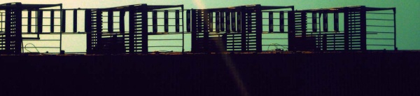 Иллюстрация к книге — Нью-Йоркский марафон. Записки не по уму [i_015.jpg]