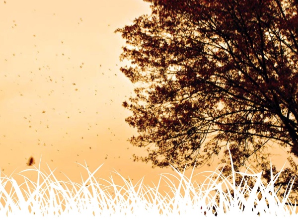 Иллюстрация к книге — Нью-Йоркский марафон. Записки не по уму [i_024.jpg]