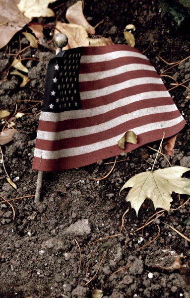 Иллюстрация к книге — Нью-Йоркский марафон. Записки не по уму [i_029.jpg]