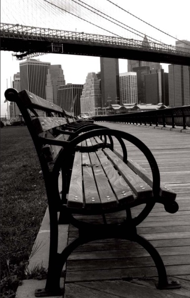 Иллюстрация к книге — Нью-Йоркский марафон. Записки не по уму [i_032.jpg]