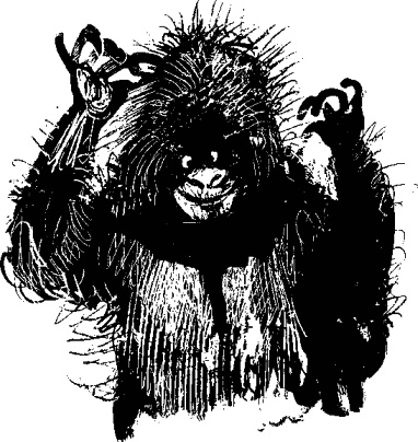 Иллюстрация к книге — Рядовой Горилла [_17.jpg]