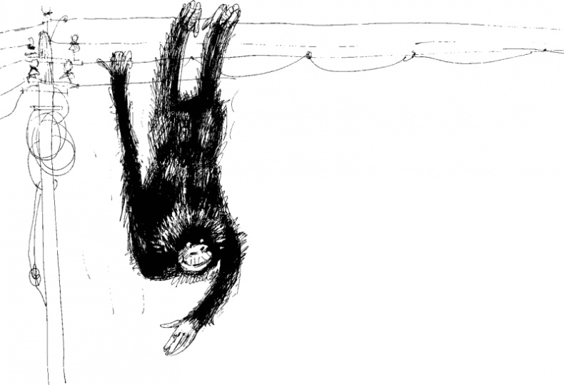 Иллюстрация к книге — Рядовой Горилла [_26.jpg]