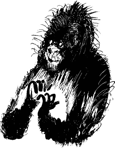 Иллюстрация к книге — Рядовой Горилла [_36.jpg]