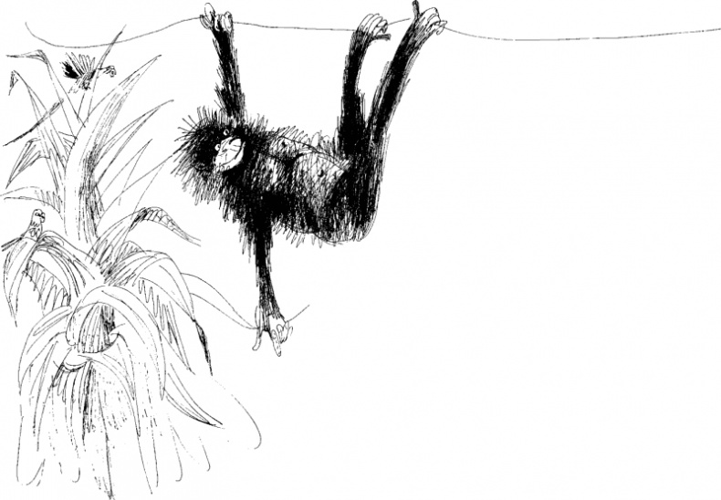 Иллюстрация к книге — Рядовой Горилла [_45.jpg]