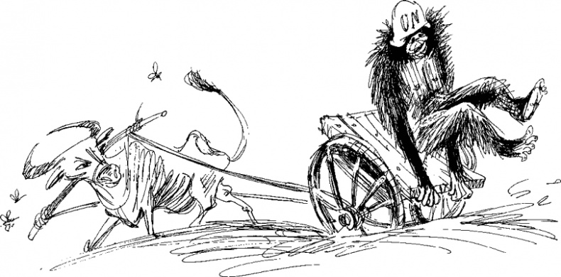 Иллюстрация к книге — Рядовой Горилла [_53.jpg]