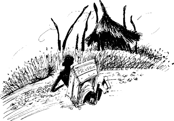 Иллюстрация к книге — Рядовой Горилла [_56.jpg]