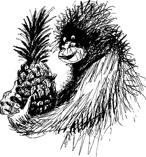 Иллюстрация к книге — Рядовой Горилла [_62.jpg]