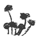 Иллюстрация к книге — Президент и его министры [Autogen_eBook_id11.jpg]