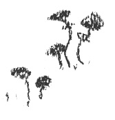 Иллюстрация к книге — Президент и его министры [Autogen_eBook_id19.jpg]