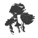 Иллюстрация к книге — Президент и его министры [Autogen_eBook_id5.jpg]