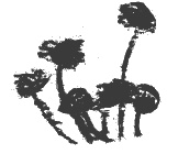 Иллюстрация к книге — Президент и его министры [Autogen_eBook_id7.jpg]