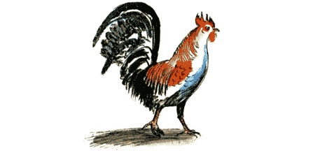 Иллюстрация к книге — Рябиновое солнце [img08.jpg]