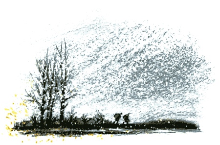 Иллюстрация к книге — Рябиновое солнце [img27.jpg]