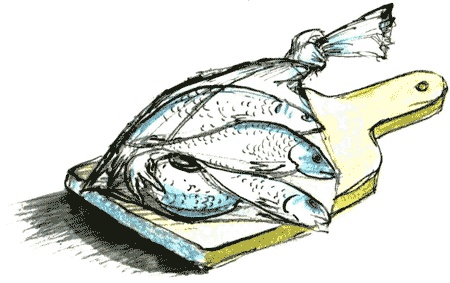 Иллюстрация к книге — Рябиновое солнце [img30.jpg]