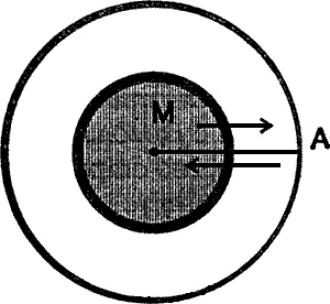 Иллюстрация к книге — Сладкая жизнь эпохи застоя [i_002.jpg]