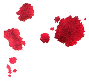 Иллюстрация к книге — Кулисы, или... Посторонним вход разрешен! [i_027.jpg]