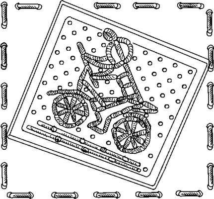 Иллюстрация к книге — Что делать, если ребенок не хочет... [i_010.jpg]