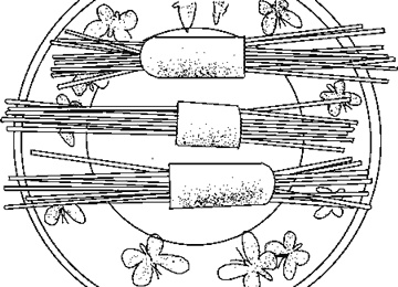 Иллюстрация к книге — Что делать, если ребенок не хочет... [i_019.jpg]