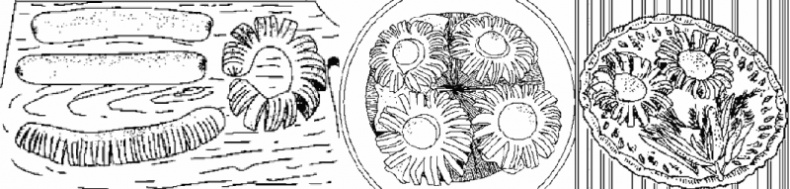 Иллюстрация к книге — Что делать, если ребенок не хочет... [i_022.jpg]