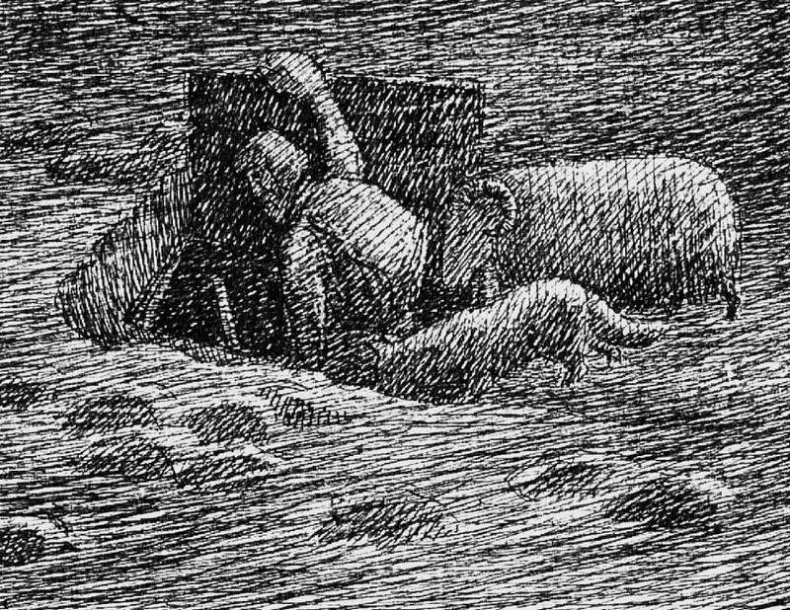 Иллюстрация к книге — Адвент. Повесть о добром пастухе [Autogen_eBook_id5.jpg]