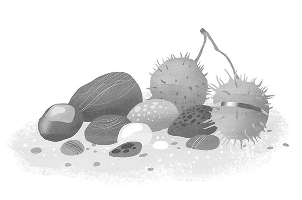 Иллюстрация к книге — Лето пахнет солью [_4_esheimore.jpg]