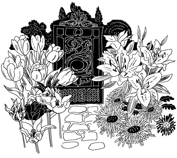 Иллюстрация к книге — Лили сама по себе [i_038.jpg]