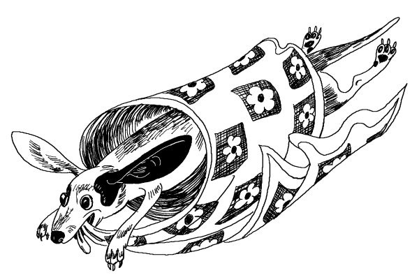 Иллюстрация к книге — Лили сама по себе [i_055.jpg]