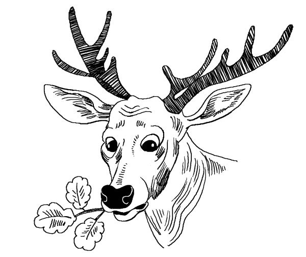 Иллюстрация к книге — Лили сама по себе [i_068.jpg]