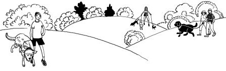 Иллюстрация к книге — Лили сама по себе [i_073.jpg]