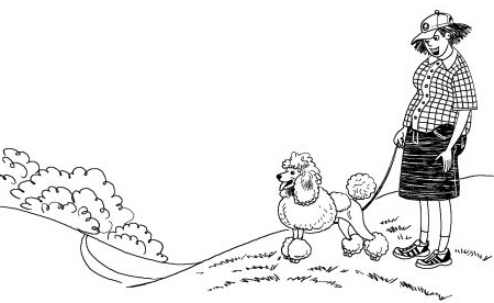 Иллюстрация к книге — Лили сама по себе [i_074.jpg]