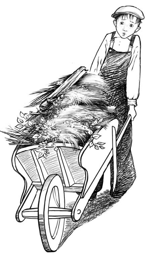 Иллюстрация к книге — Волчонок [i_007.jpg]