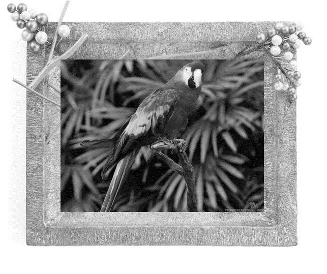 Иллюстрация к книге — Сказки ветра [image0_55dc14a9ca4384d303f5f9c0_jpg.jpg]