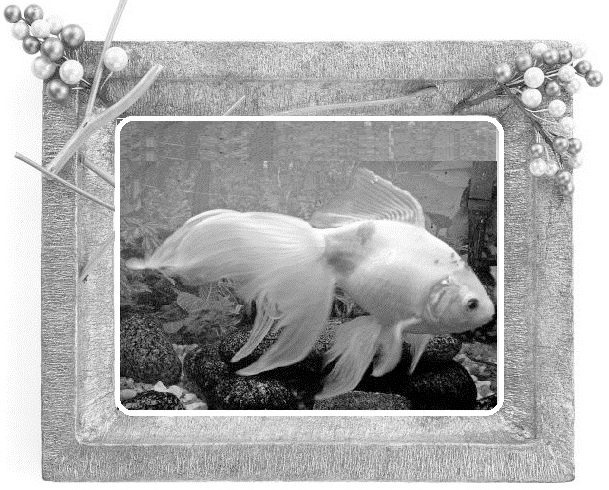 Иллюстрация к книге — Сказки ветра [image11_55dc4967c916fa1321eaa38a_jpg.jpg]