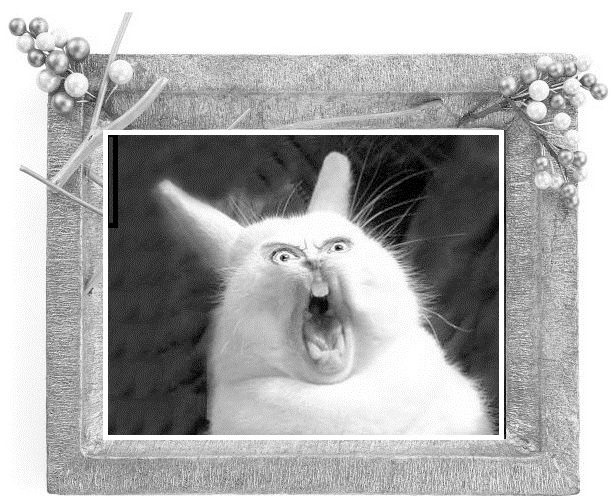 Иллюстрация к книге — Сказки ветра [image5_55dc21b6ca4384d303f60171_jpg.jpg]