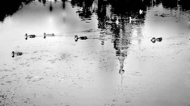 Иллюстрация к книге — Удивительные путешествия по реке времени. Книга вторая. Неожиданные встречи [image9_55d197025ad9428c10c46d99_jpg.jpg]