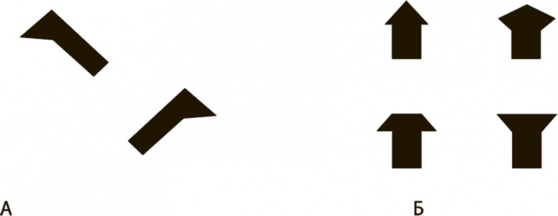 Иллюстрация к книге — Мозг и тело. Как ощущения влияют на наши чувства и эмоции [i_001.jpg]