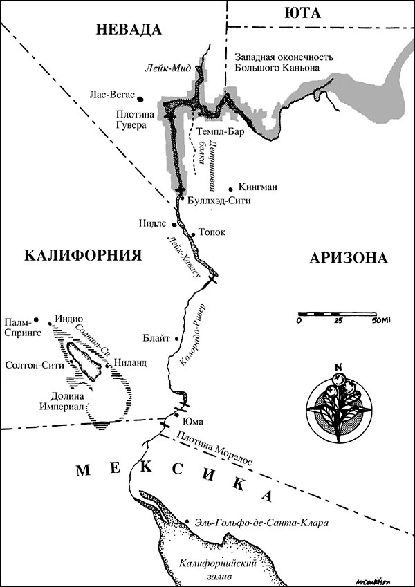 Иллюстрация к книге — В диких условиях [_050.jpg]