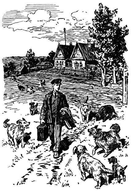 Иллюстрация к книге — Жизнь и приключения Заморыша [_052.jpg]