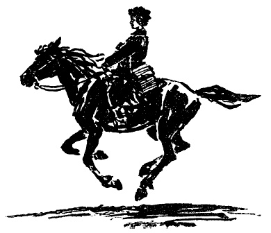 Иллюстрация к книге — Жизнь и приключения Заморыша [_066.jpg]